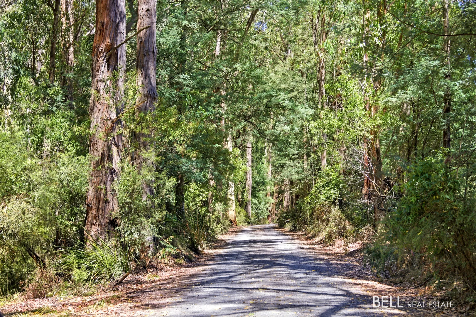 Additional image 6 of 1195 Little Yarra Road, Three Bridges VIC 3797