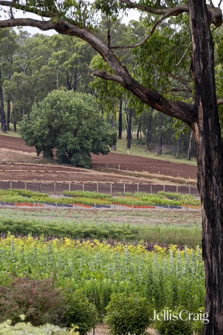 Additional image 26 of 150 Monbulk-Seville Road, Silvan VIC 3795
