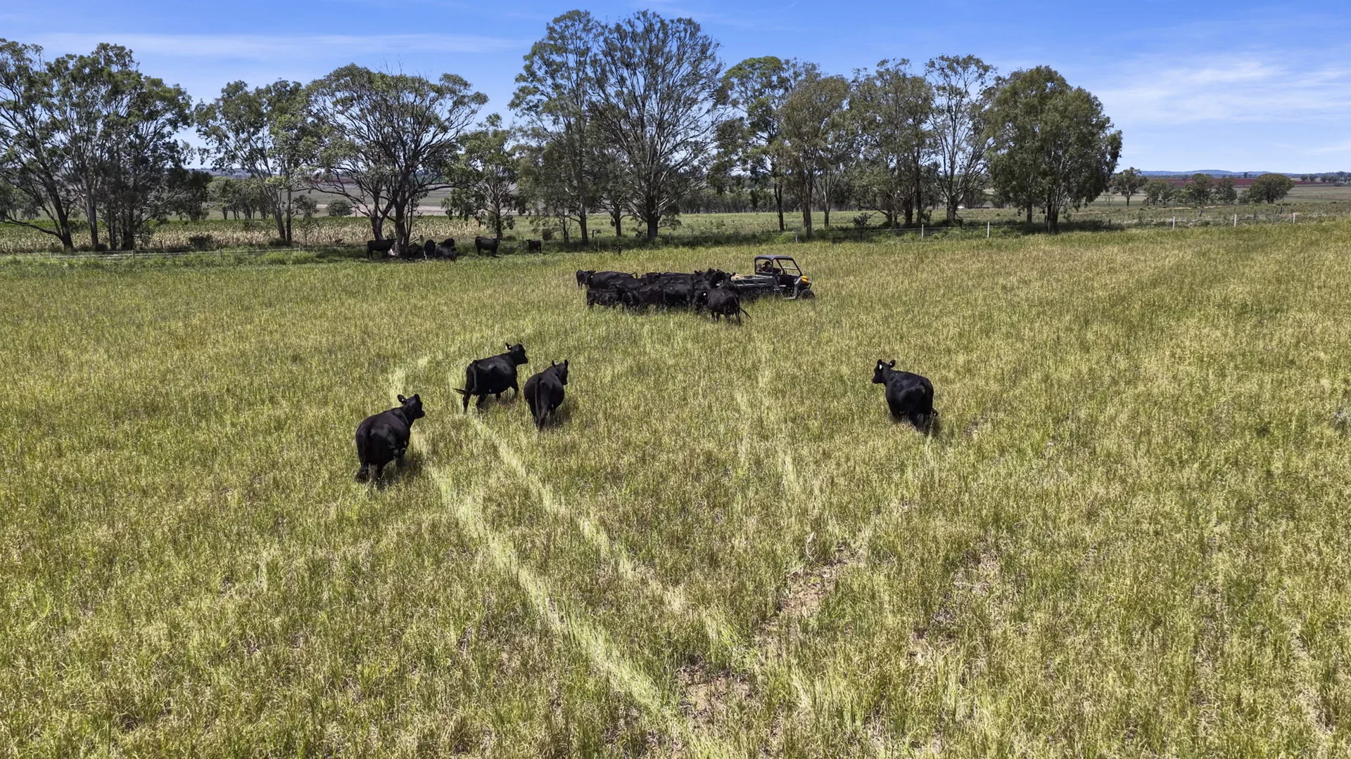 Additional image 26 of 167 Stark Road, Talgai QLD 4362
