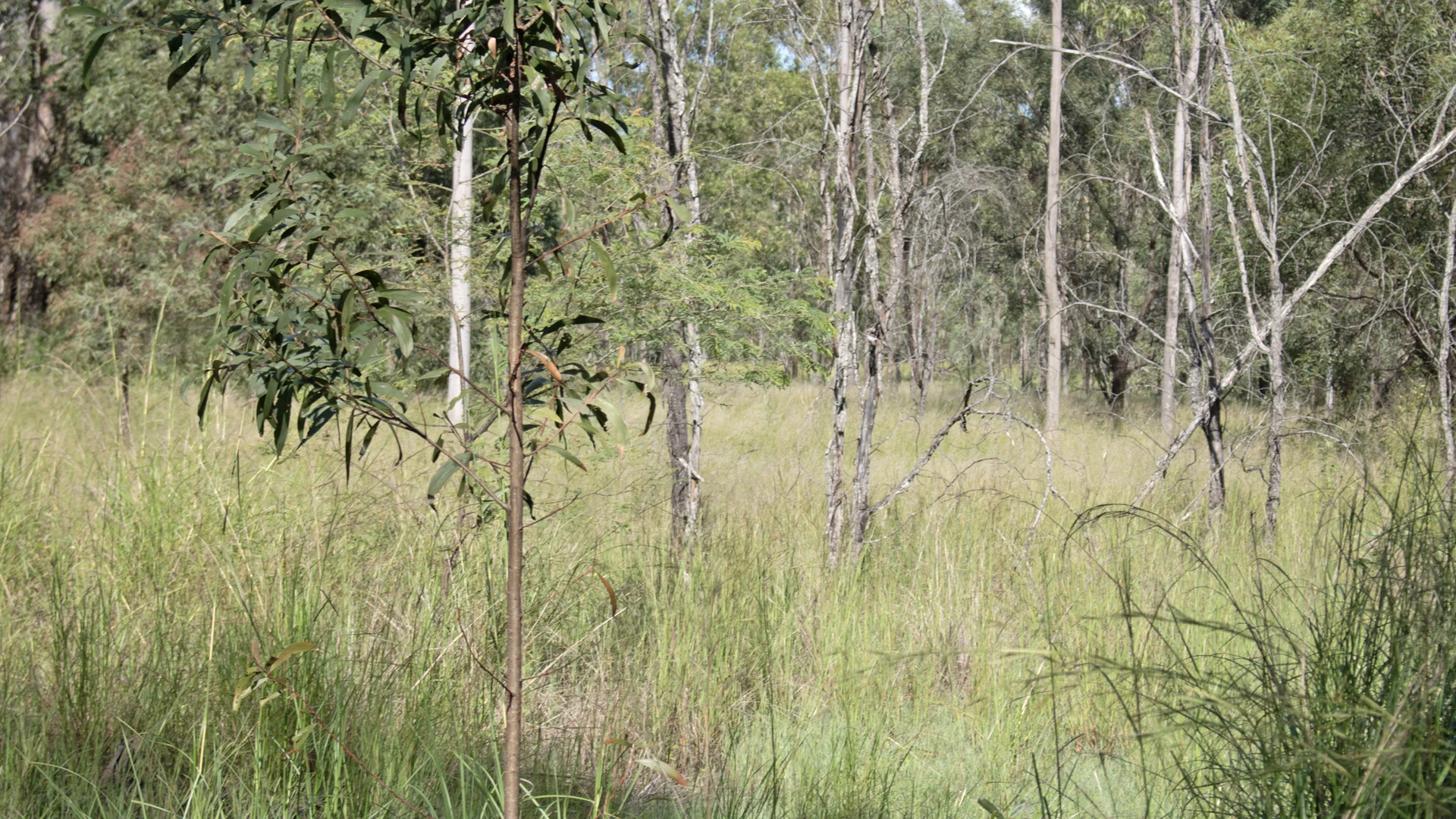 Lot 2/MPH22711 Burnett Highway, Eidsvold QLD 4627