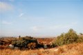 Additional image 55 of 39220 Gray Squirrel Rd, Temecula, CA, 92592