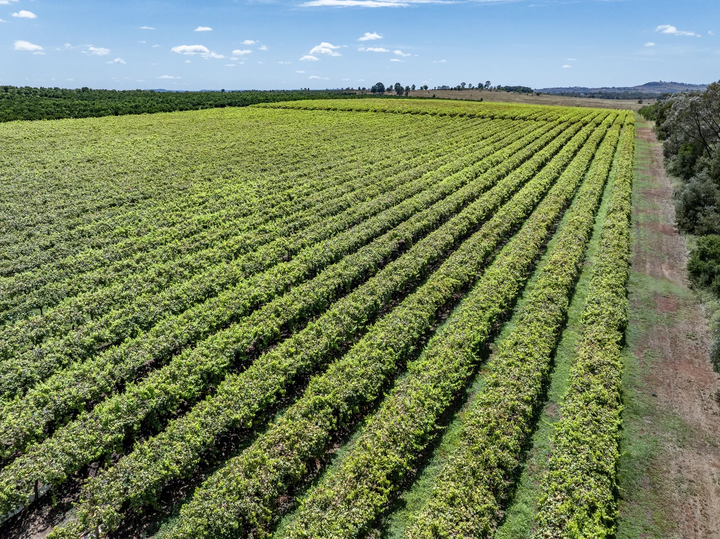 Additional image 3 of Lot 85 Glenrae Dip Road, Boynewood QLD 4626