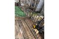 Additional image 20 of 41 3rd St, Newark, NJ, 07107