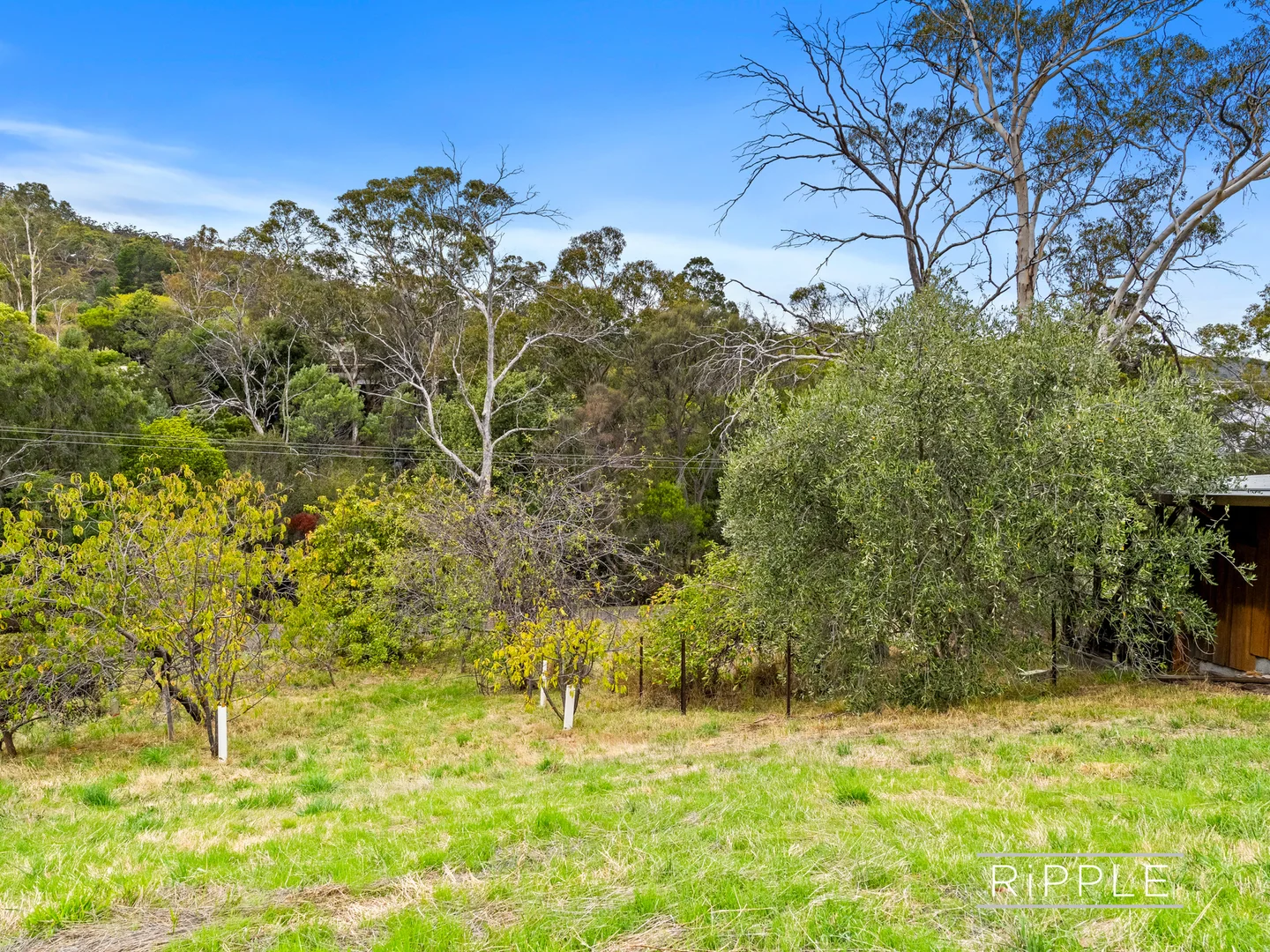 Additional image 20 of 38 Otago Bay Road, Otago TAS 7017