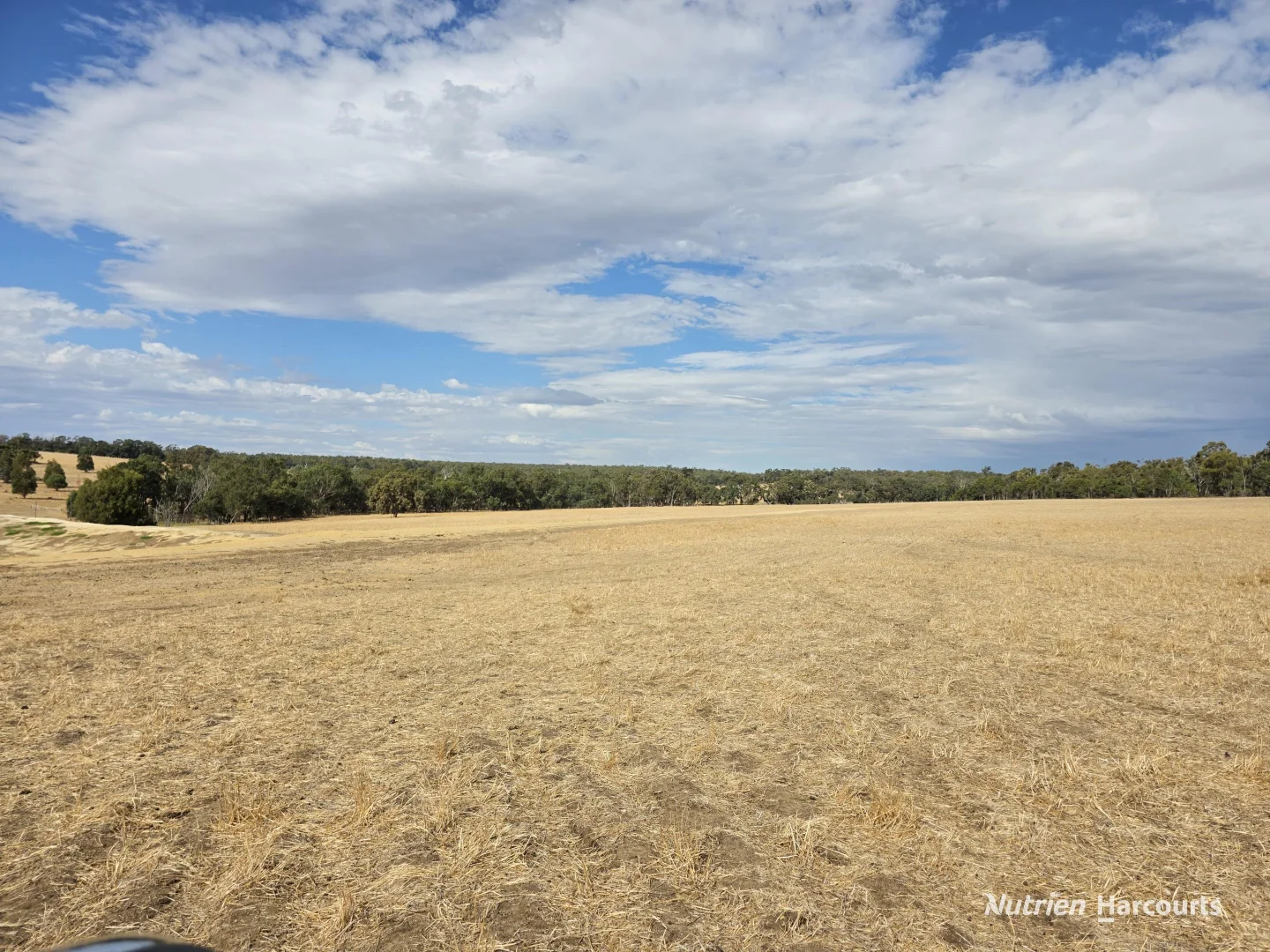 "Bloomvale", Bloomfields Road, Scotts Brook WA 6244 photo 3