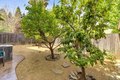 Additional image 40 of 516 Rye Ct, Roseville, CA, 95747
