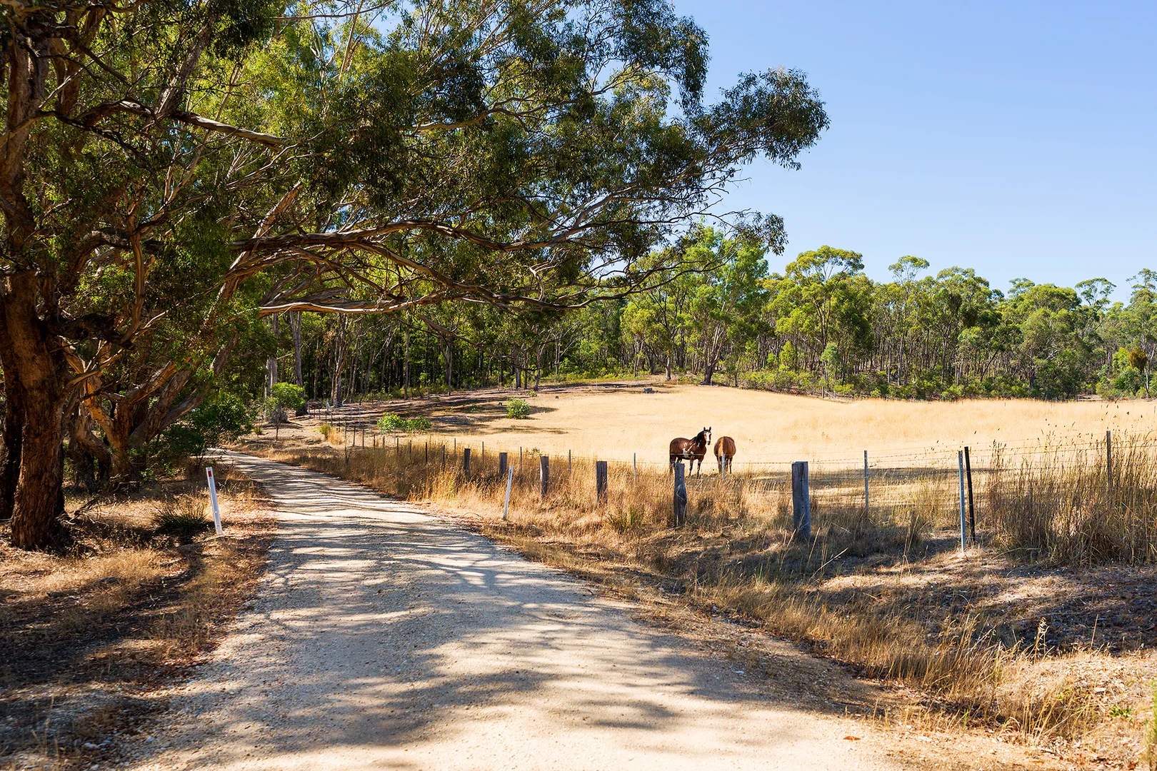 Additional image 10 of 50 Galaxia Lane, Guildford VIC 3451