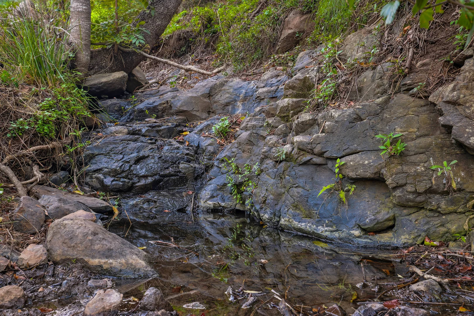 Additional image 39 of 462 Illinbah Road, Illinbah QLD 4275