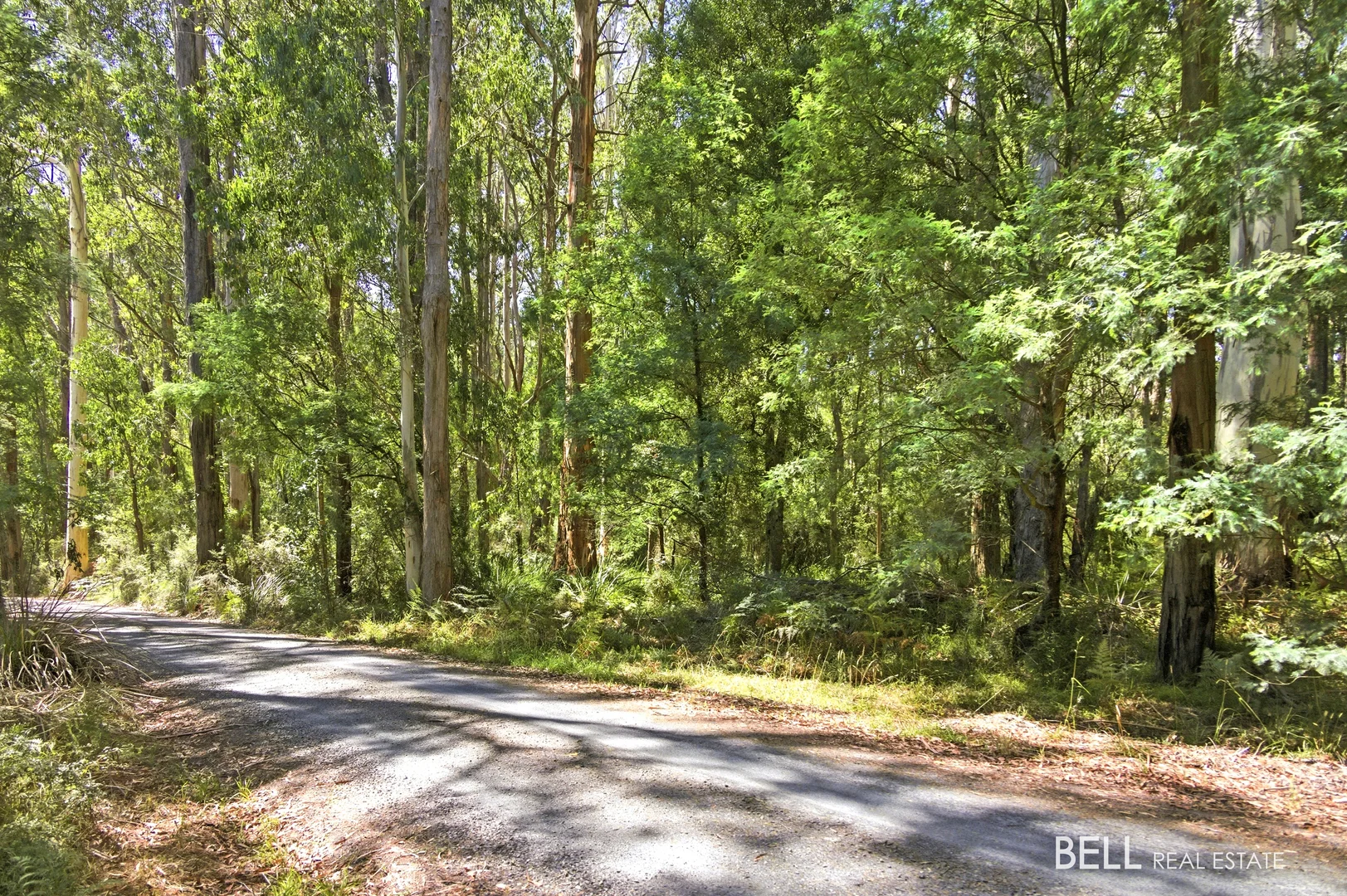 Additional image 7 of 1195 Little Yarra Road, Three Bridges VIC 3797