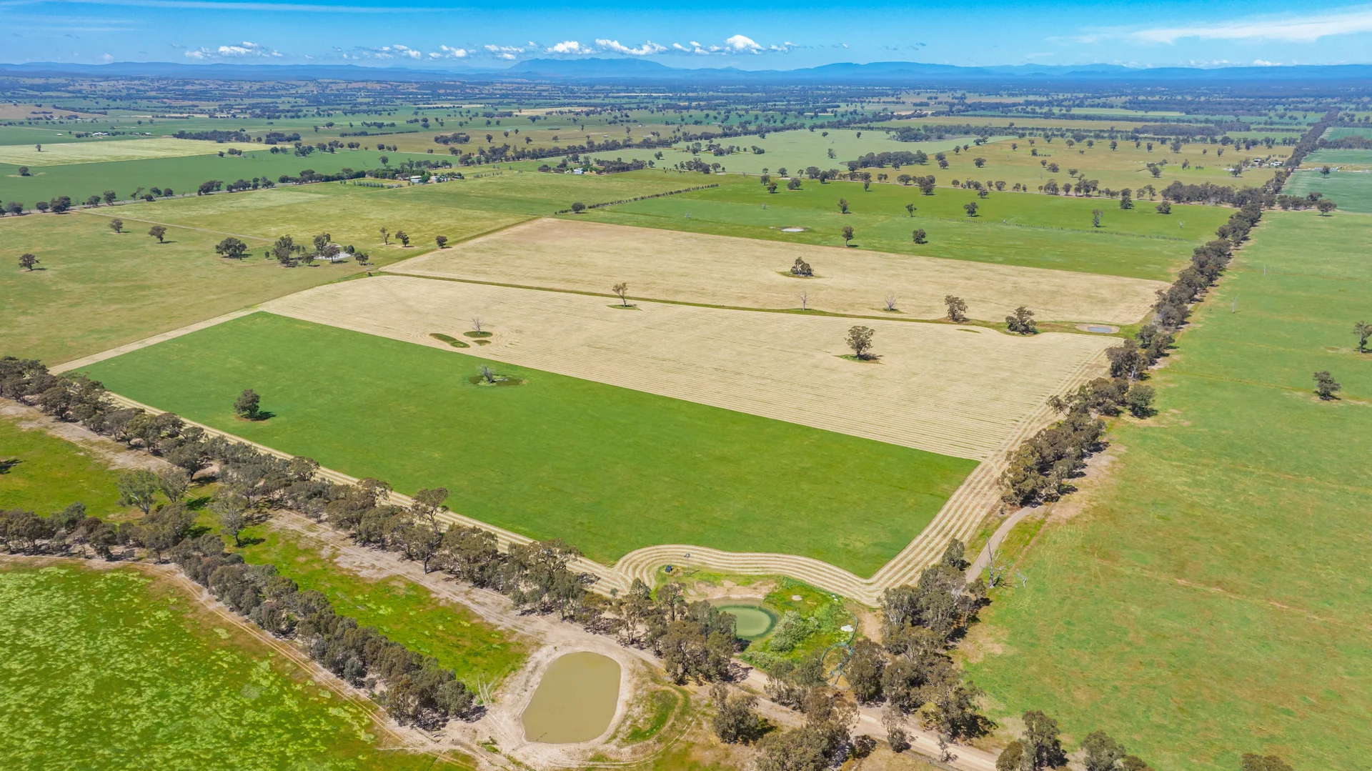 Additional image 12 of Lot 1 Boorhaman-Springhurst Road, Springhurst VIC 3682