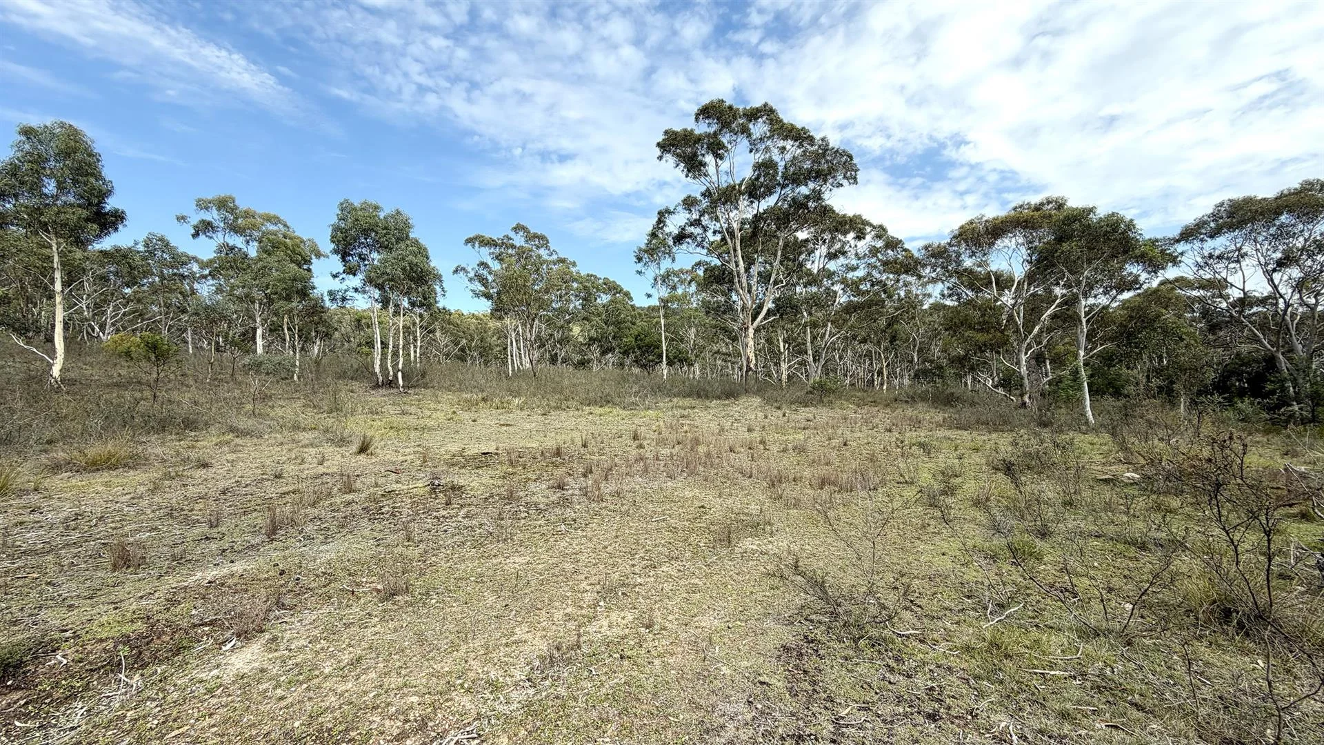 Additional image 5 of 50 Tiyces Lane, Boxers Creek NSW 2580