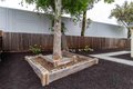Additional image 38 of 174 Loralee Pl, Pleasant Hill, CA, 94523