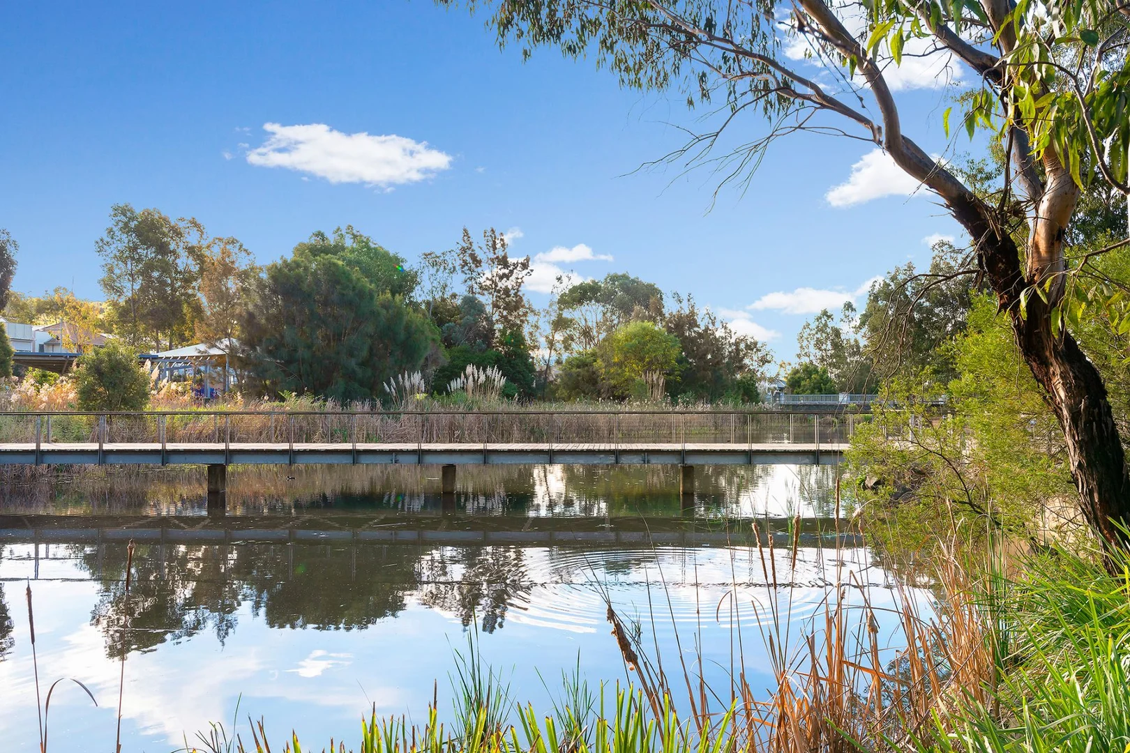 Additional image 7 of 23 Nijong Drive, Pemulwuy NSW 2145