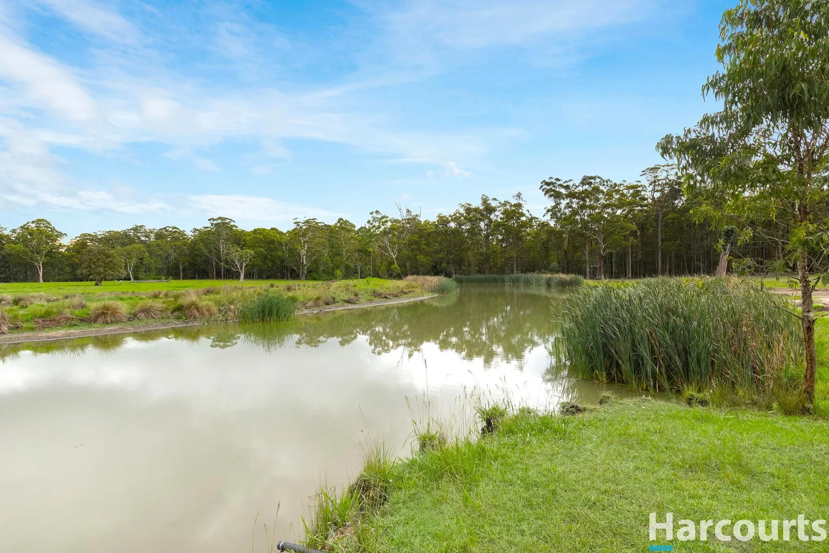Additional image 36 of 571A The Bucketts Way, Limeburners Creek NSW 2324