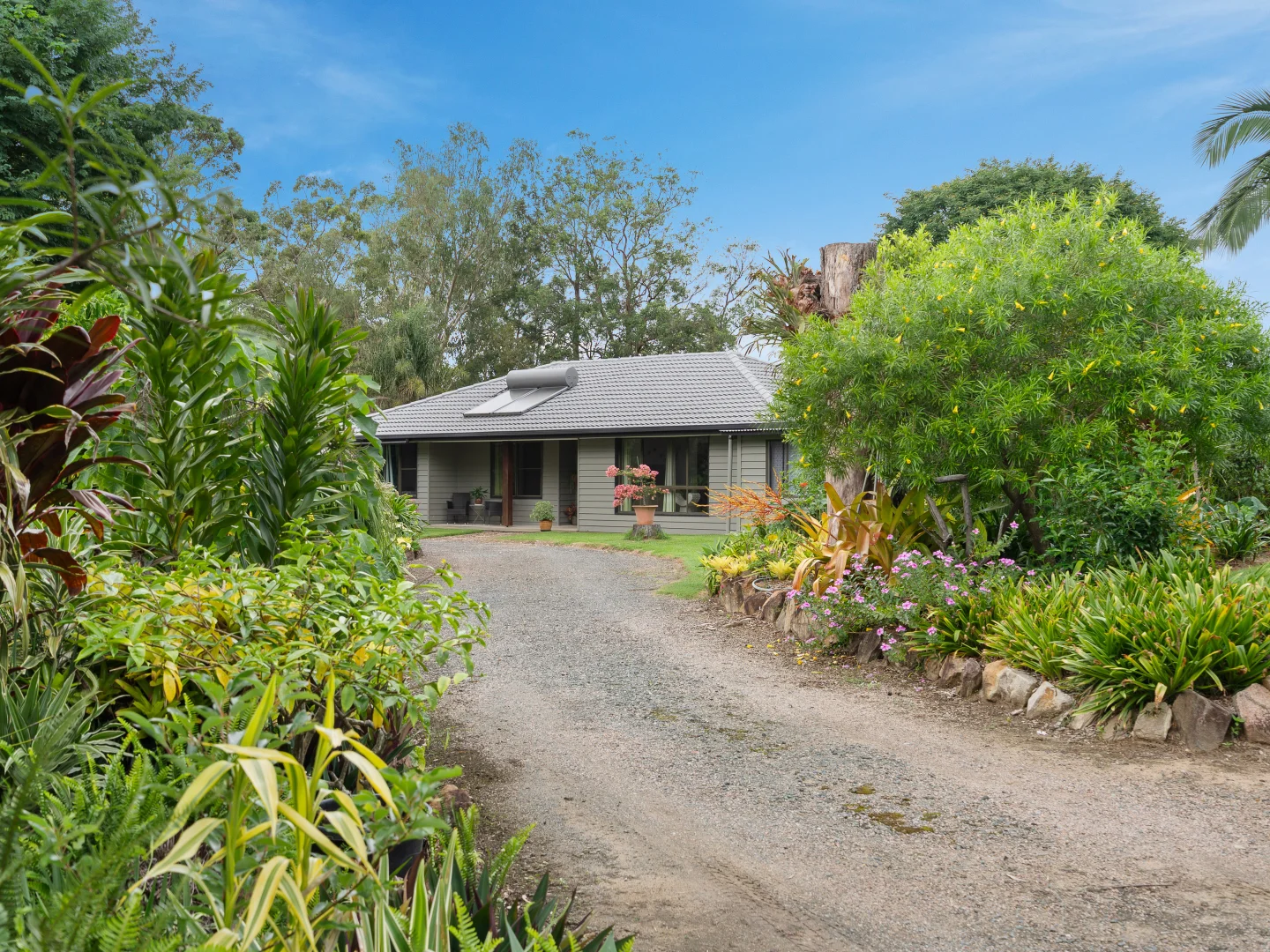 Additional image 39 of 227-237 Scurr Road, Wamuran QLD 4512