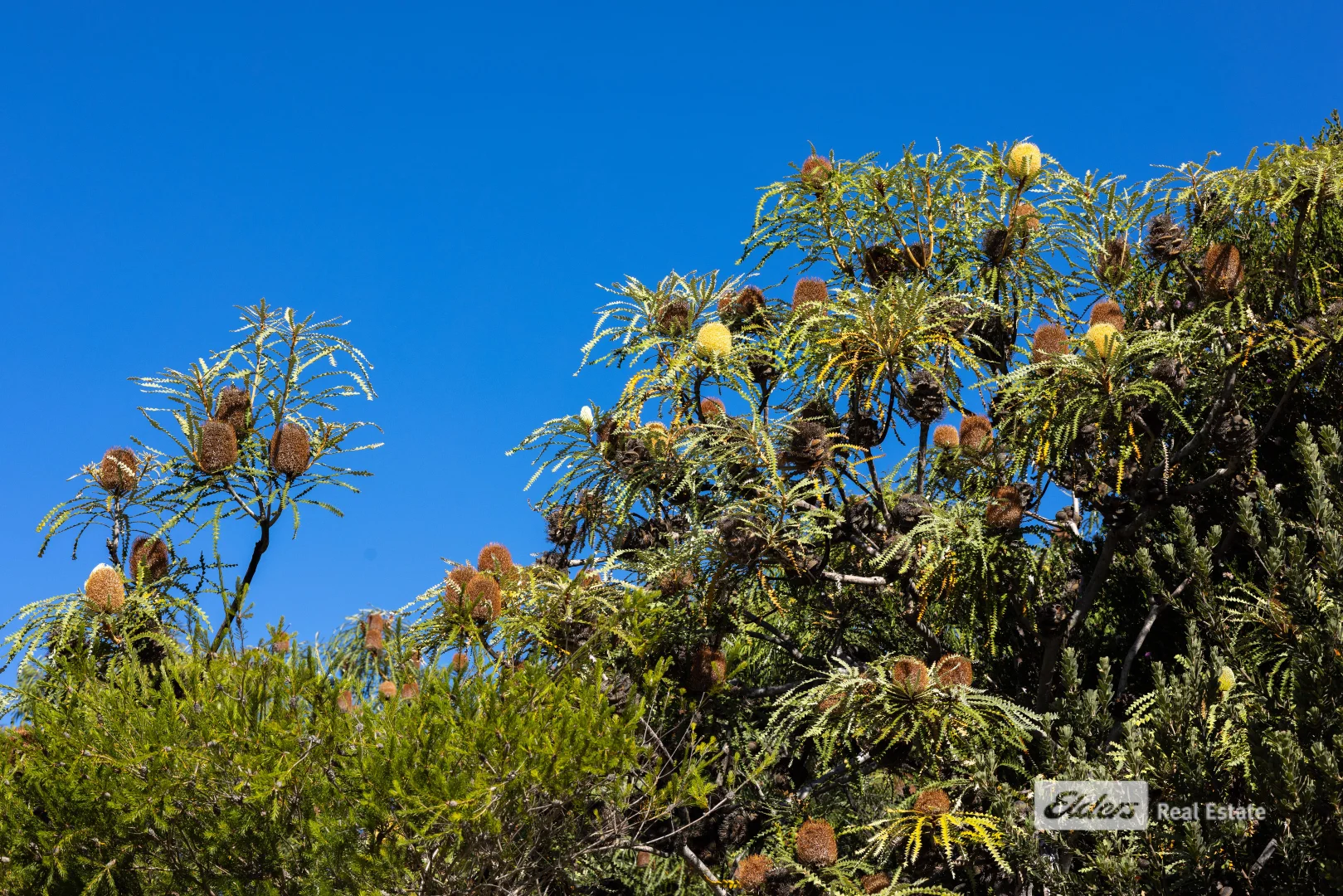 Additional image 15 of 52 Gneiss Hill Road, Bremer Bay WA 6338