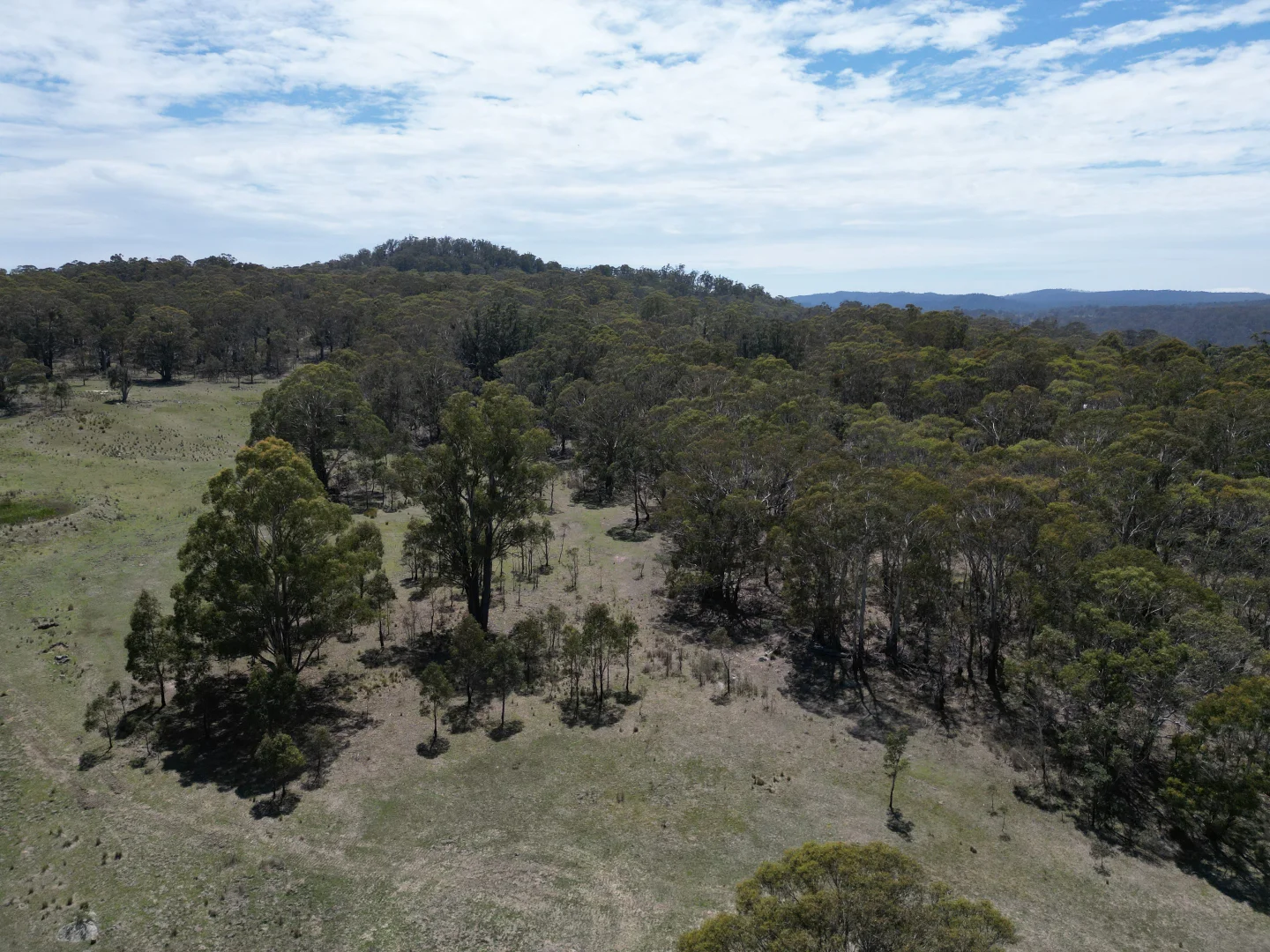 Additional image 14 of Lot 31/31, 175 Tumbledown Road, Peak View NSW 2630
