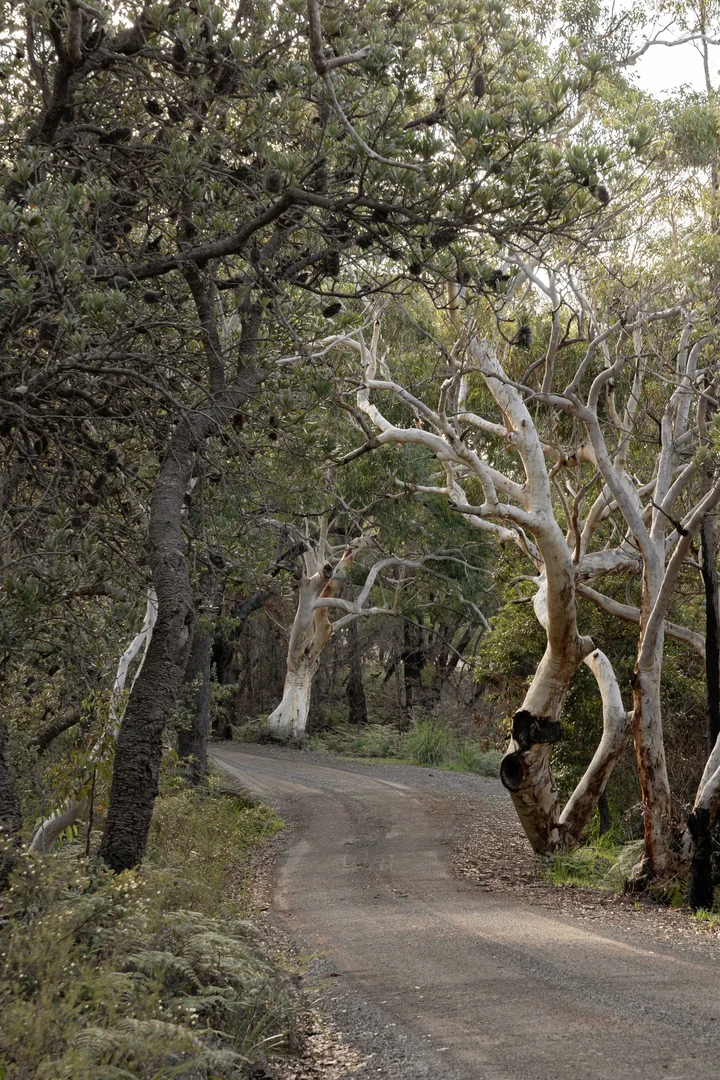 Additional image 17 of 6 Illowra Lane, Hyams Beach NSW 2540