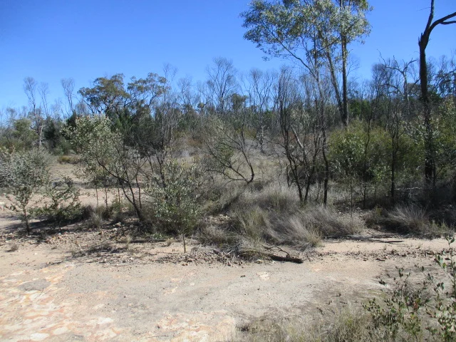 Additional image 2 of Lot 29 Dahlkes Road, Tara QLD 4421