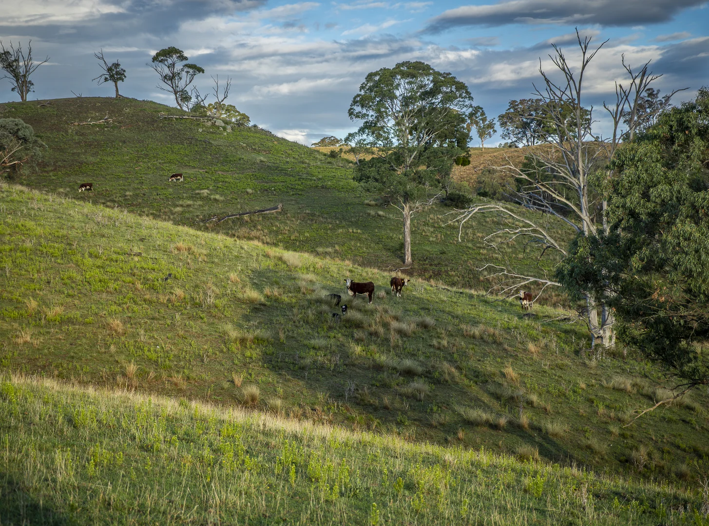 Additional image 10 of 'Coonara' Perrams Road, Ilford NSW 2850