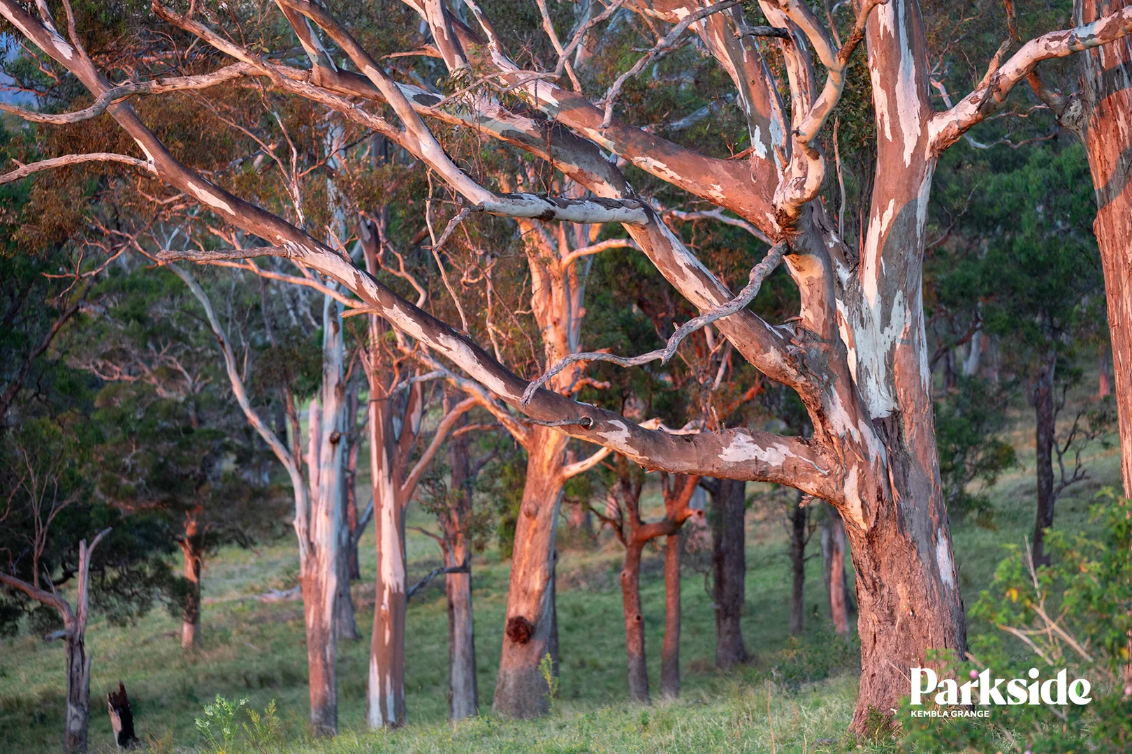 Additional image 5 of 325 Stage 3, Part Lot 163 Summit Street, Stream Hill NSW 2526