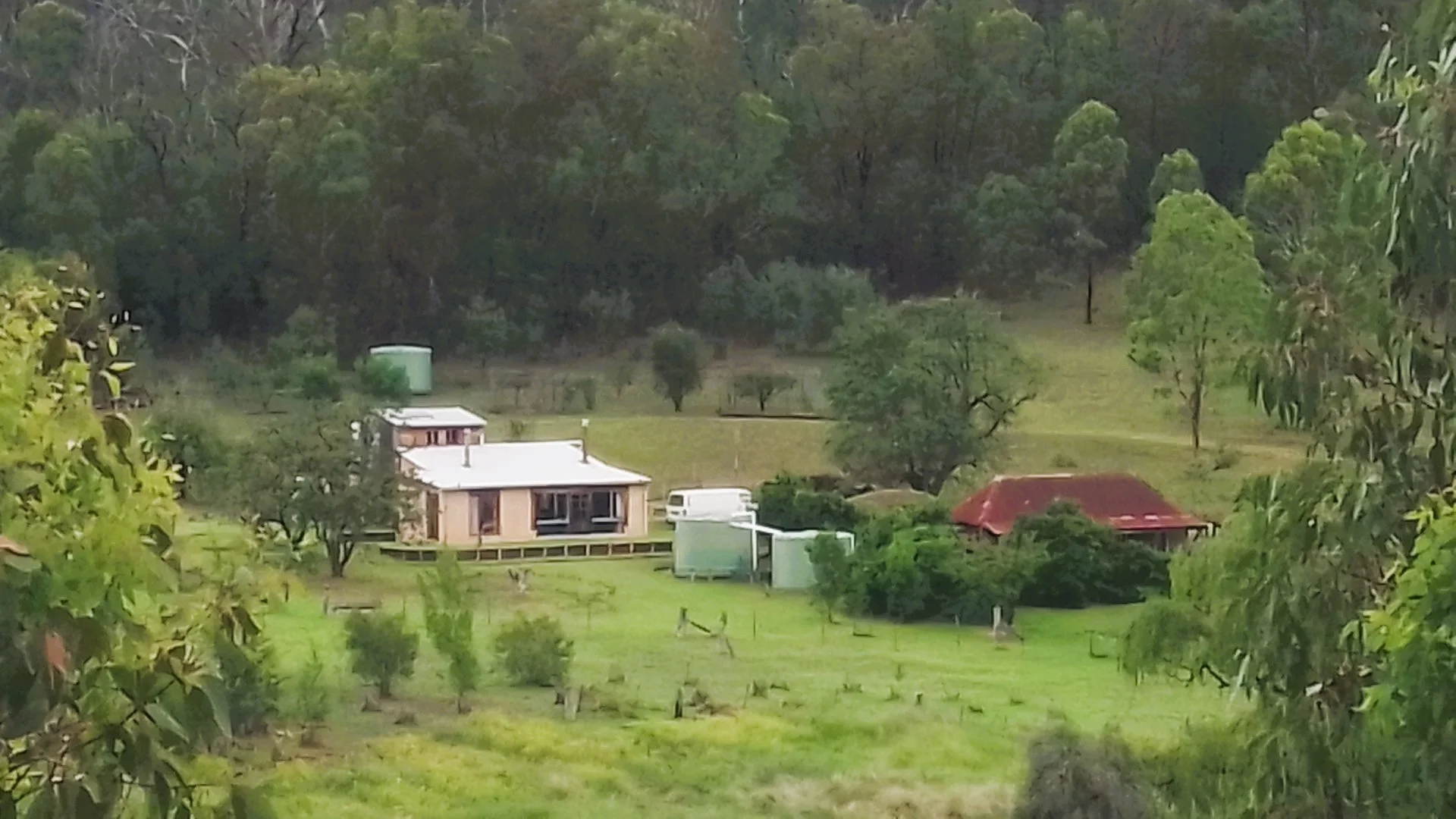 1196 Nullo Mountain Rd, Nullo Mountain NSW 2849