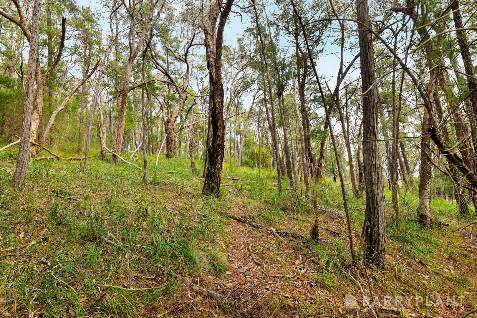Additional image 4 of 935 Buttermans Track, Christmas Hills VIC 3775