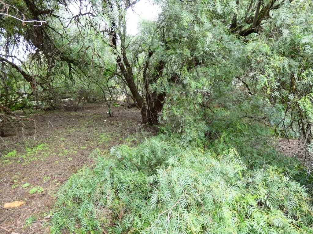 Additional image 4 of 41 Deakin St, Beulah VIC 3395