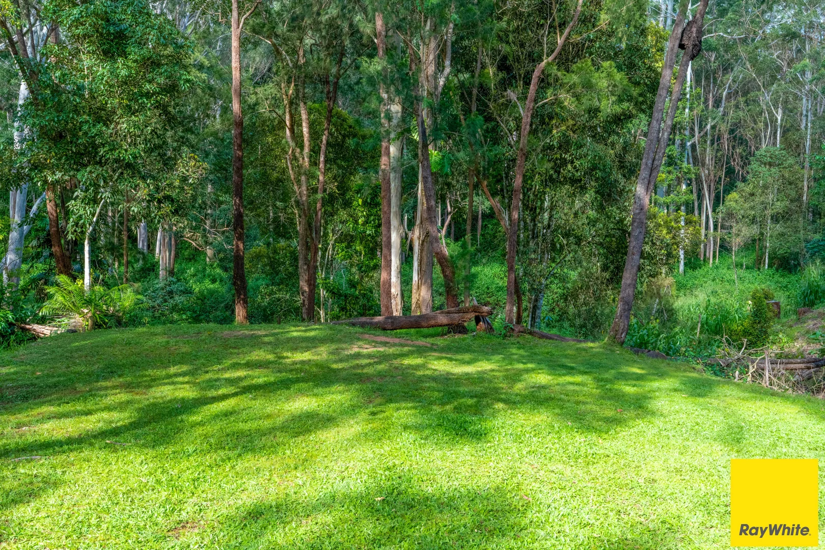 Additional image 32 of 20 Zingelmann Road, Wondecla QLD 4887