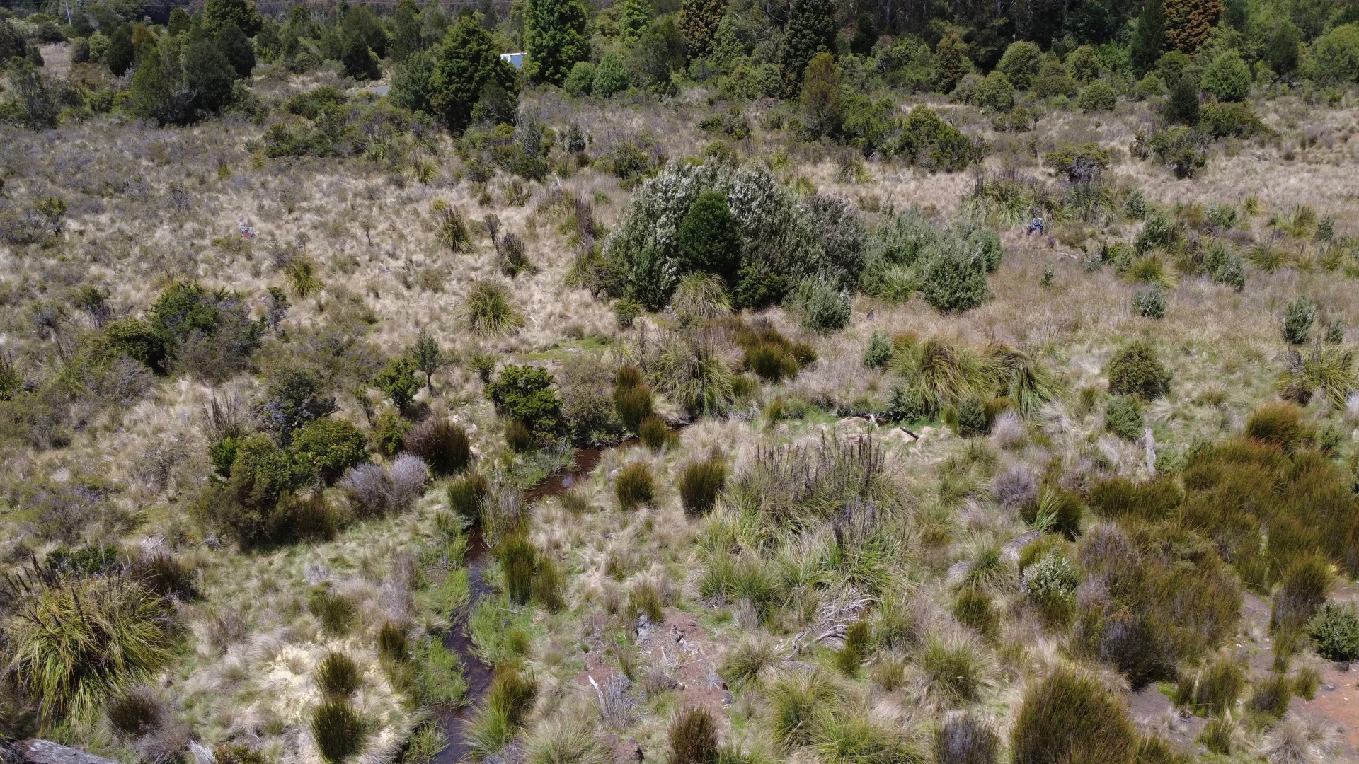 Additional image 13 of 396 Waratah Rd, Waratah TAS 7321