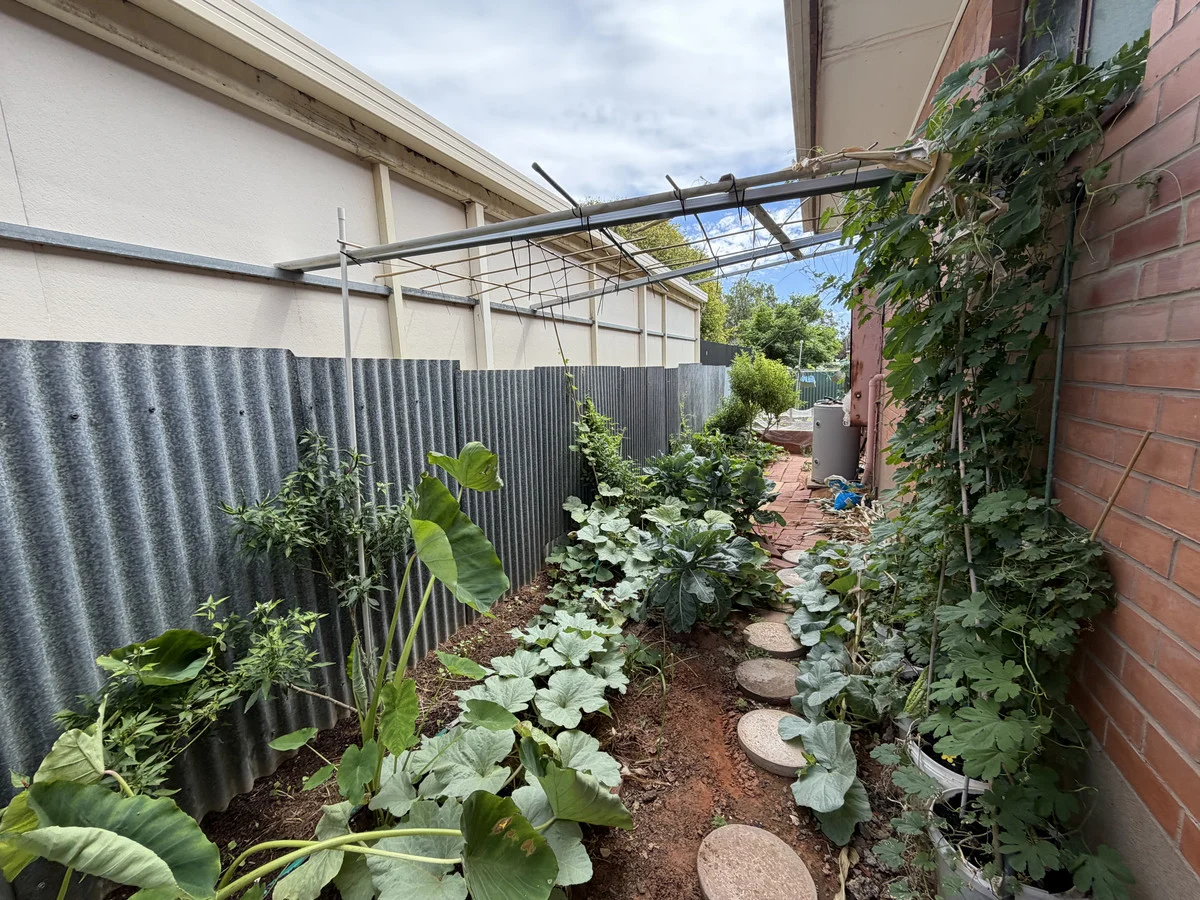 Additional image 35 of Units 1-3/1 Newton Street, Port Augusta SA 5700
