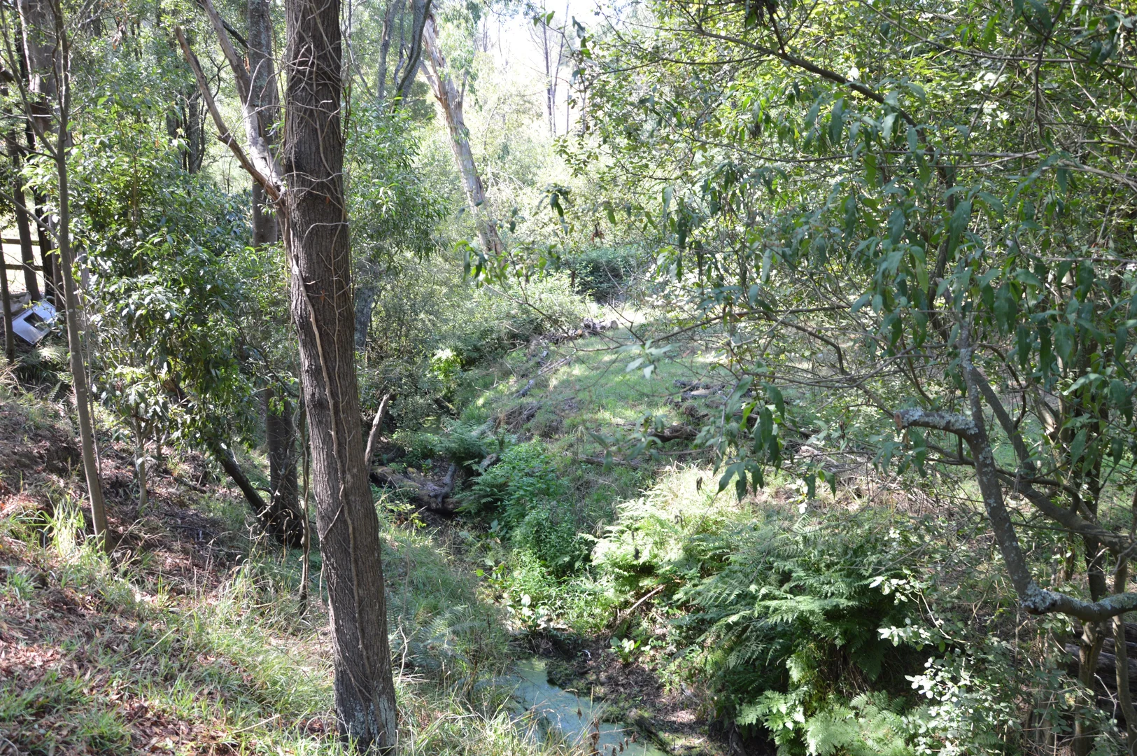 Additional image 3 of 790 Soldiers Road, Poowong VIC 3988