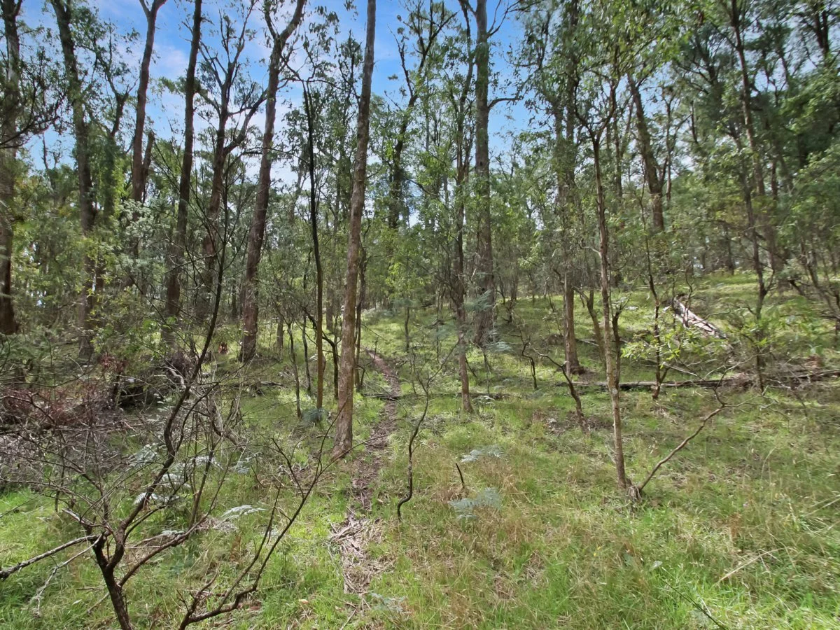 Additional image 3 of 135 Kangaroo Track, Omeo VIC 3898