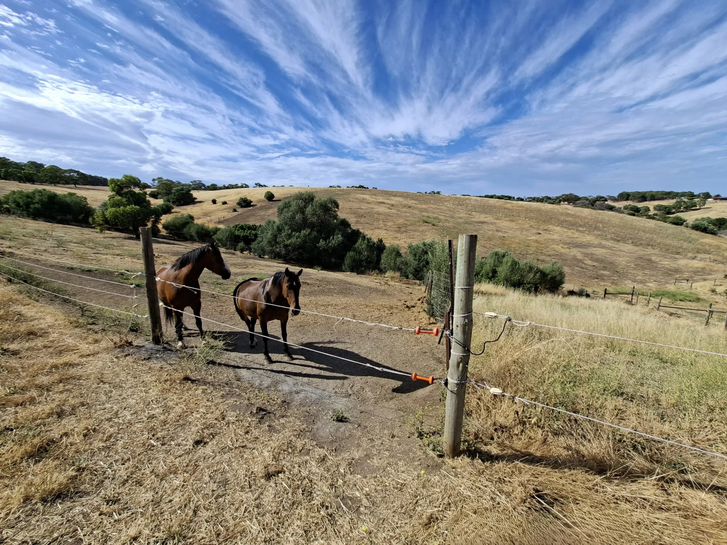 Additional image 11 of 645 States Road, Onkaparinga Hills SA 5163