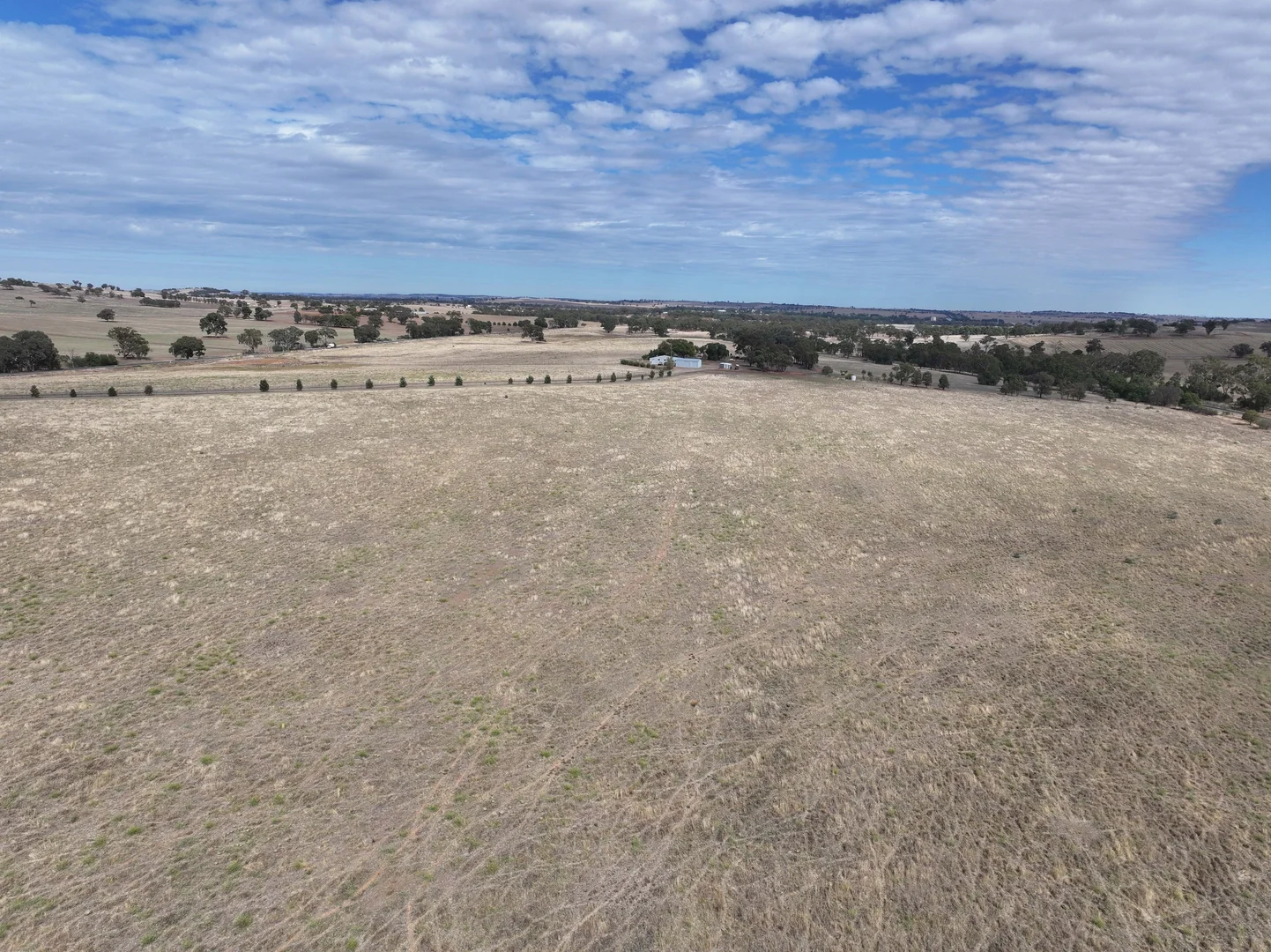 Additional image 4 of 1274 Canola Way, Marrar NSW 2652