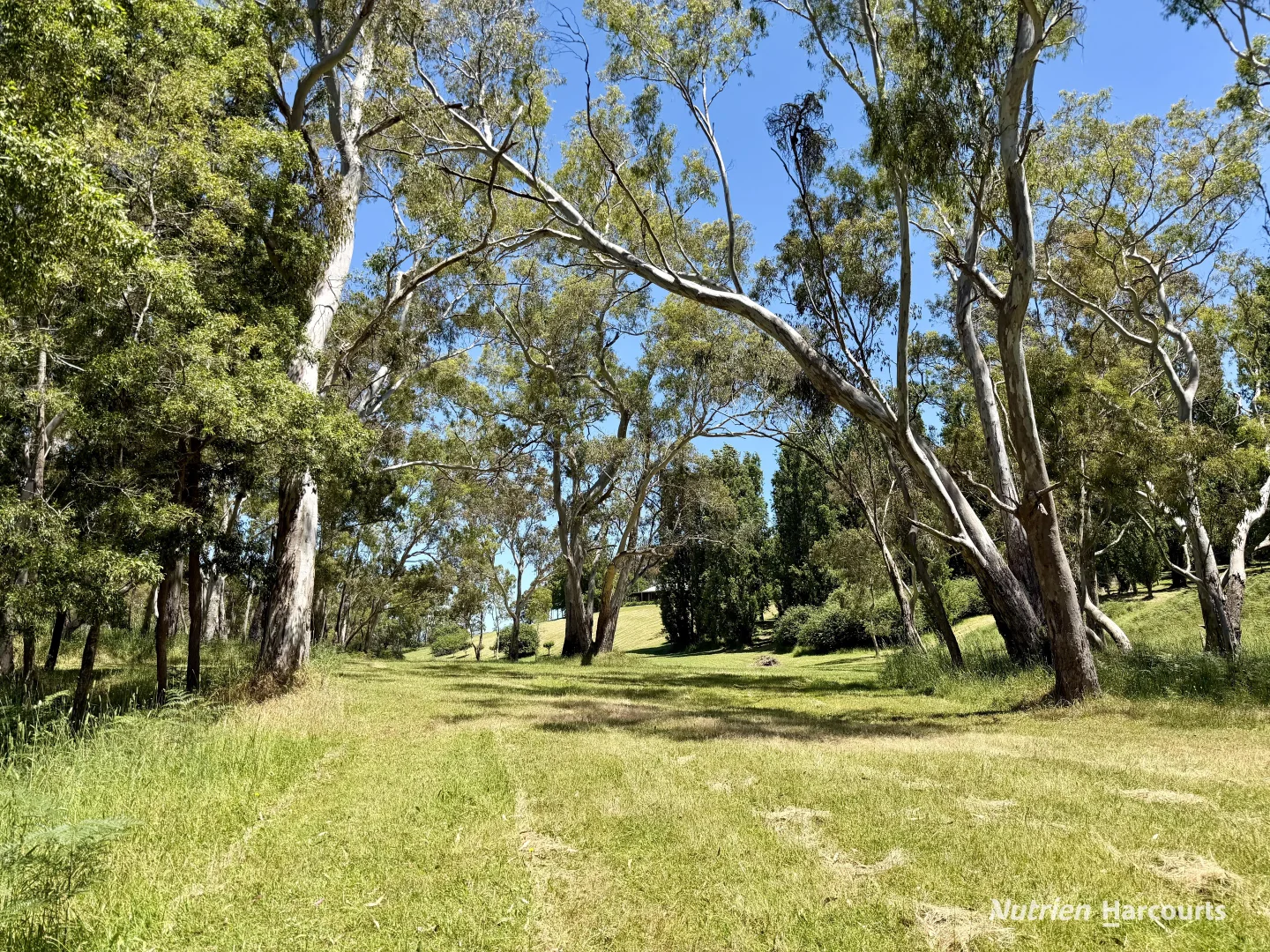 Additional image 23 of 128 Ponderosa Road, Strathdownie VIC 3312