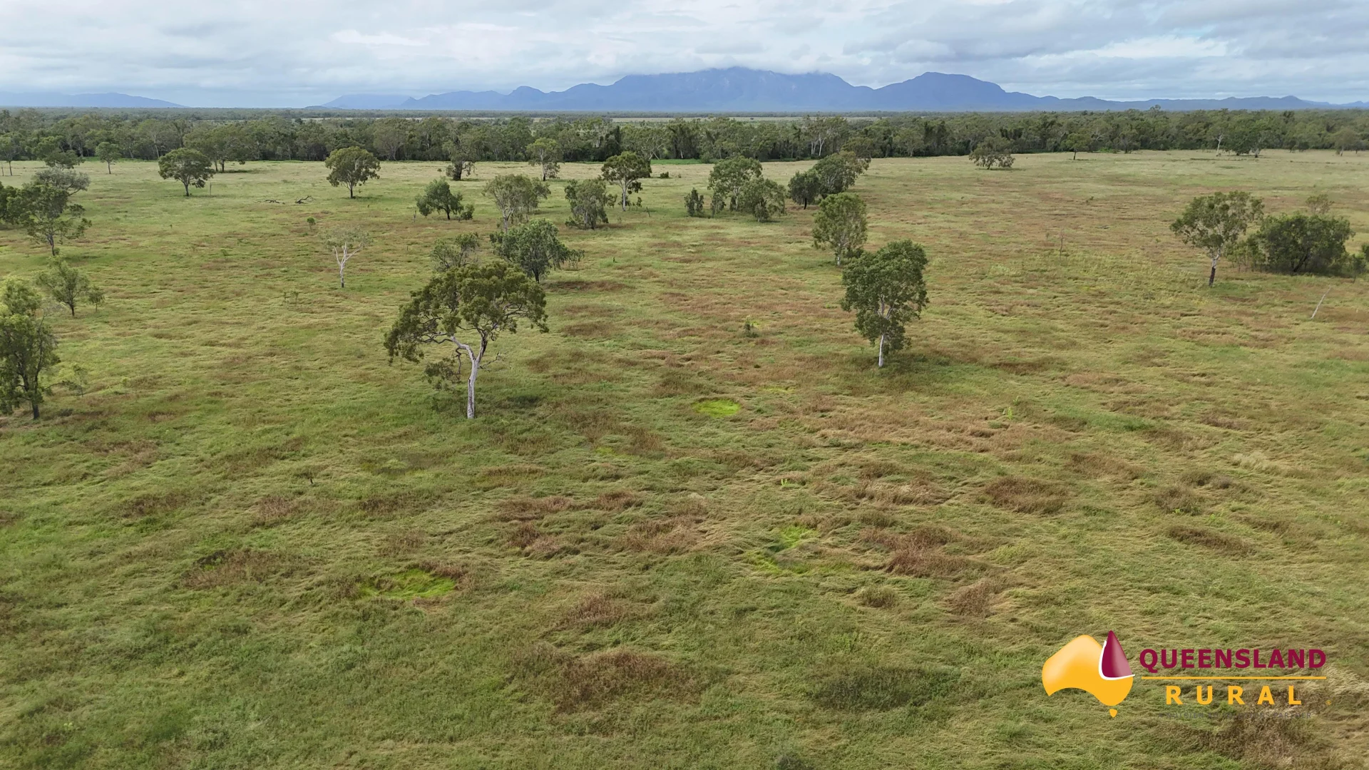 Gumlu QLD 4805 photo 5