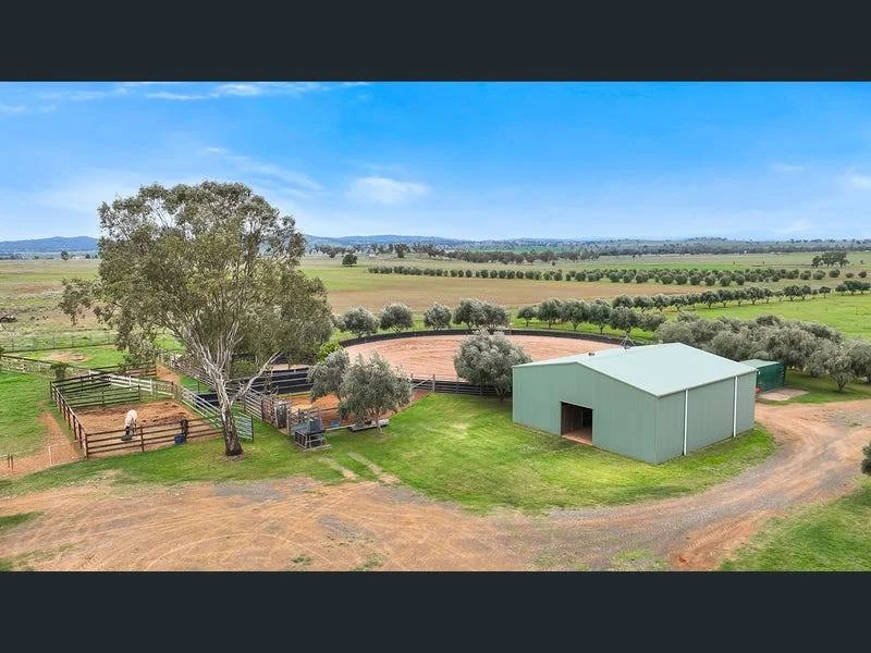 Additional image 7 of "La Trinidad", Tamworth NSW 2340