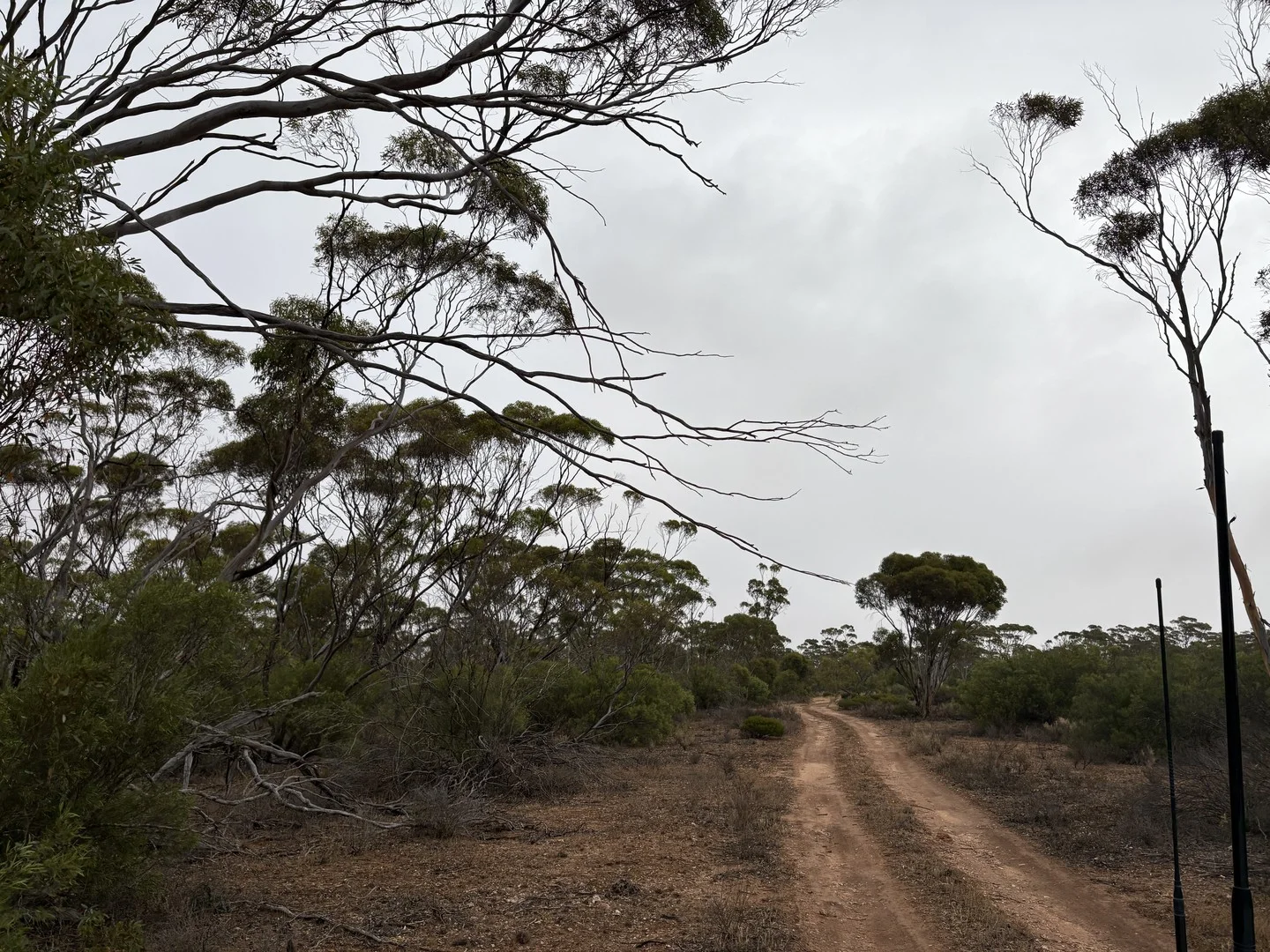 Lot 104 Cant Road, Kimba SA 5641