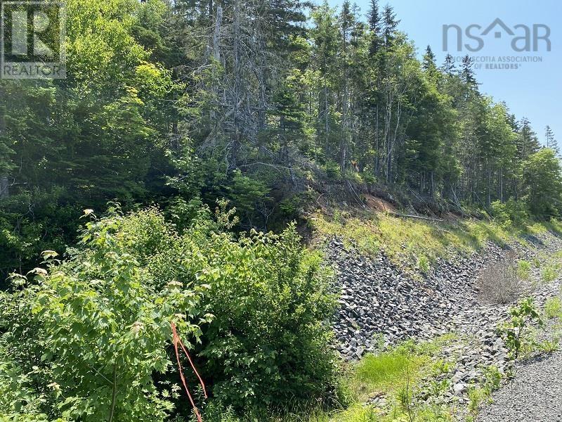 0 Cabot Trail