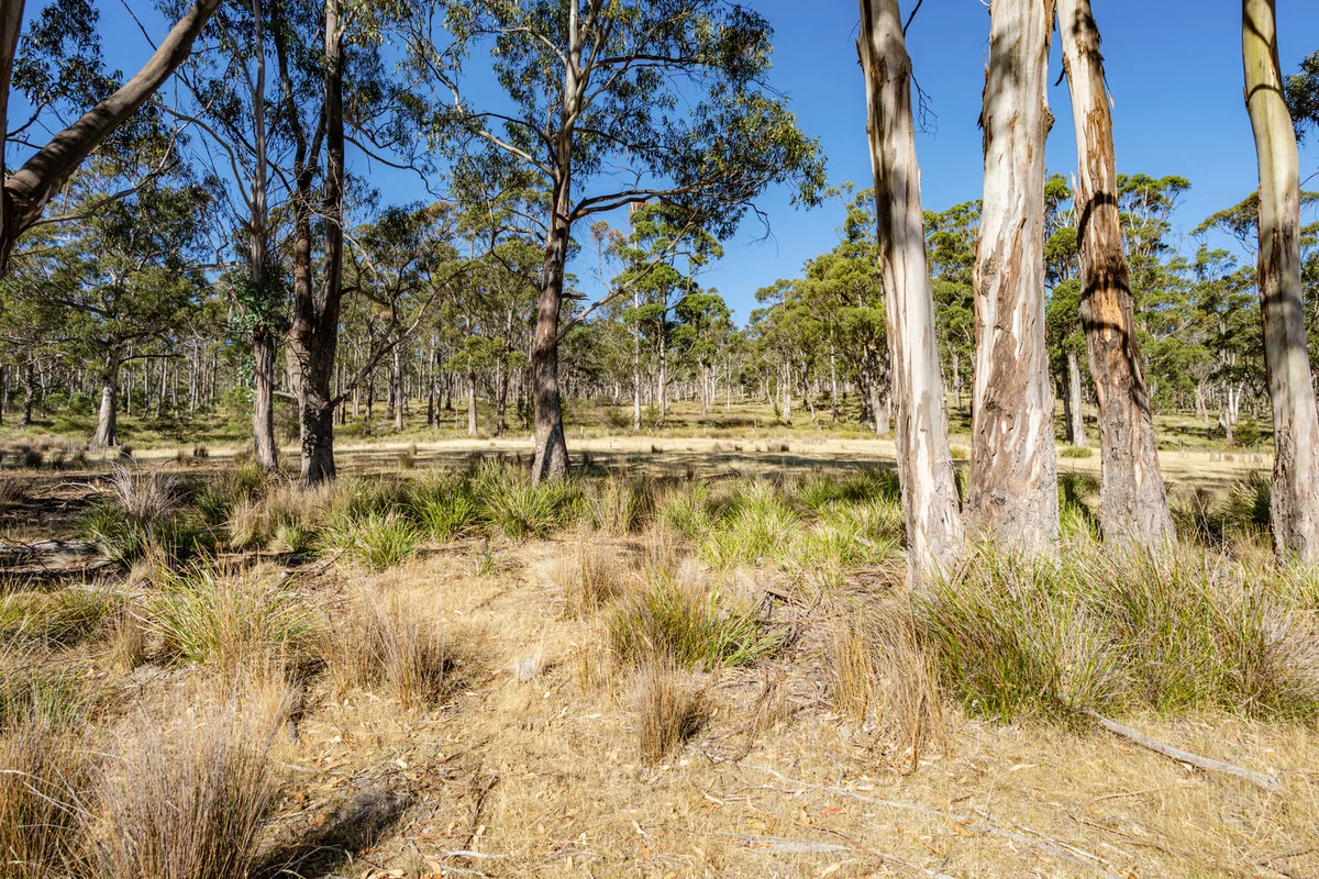 Additional image 10 of 4 D'Entrecasteaux Drive, North Bruny TAS 7150