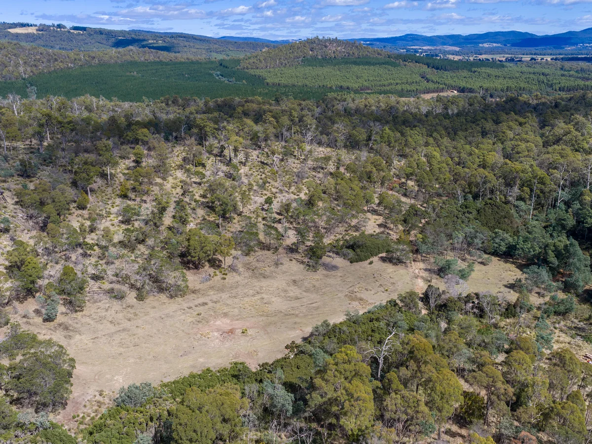 2127 West Tamar Highway, Lanena TAS 7275 photo 5