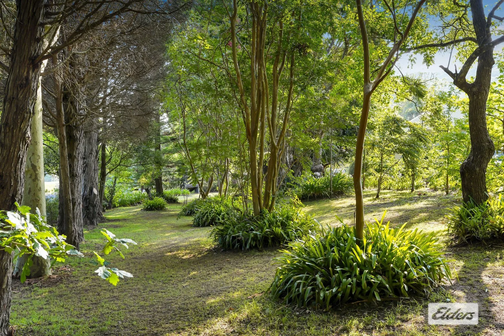 Additional image 31 of 1698 Yarramalong Road, Yarramalong NSW 2259