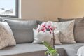 226 27th St Apt 10, San Francisco, CA, 94131 photo 5