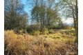 Additional image 34 of 5953 Old Olympic Hwy, Sequim, WA, 98382