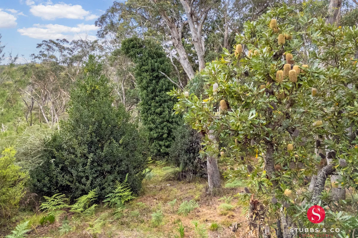 Additional image 5 of 59 Seventh Avenue, Katoomba NSW 2780