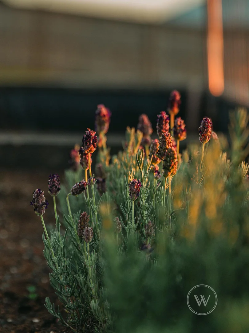 Additional image 6 of 48 Sheoak Street, Warragul VIC 3820
