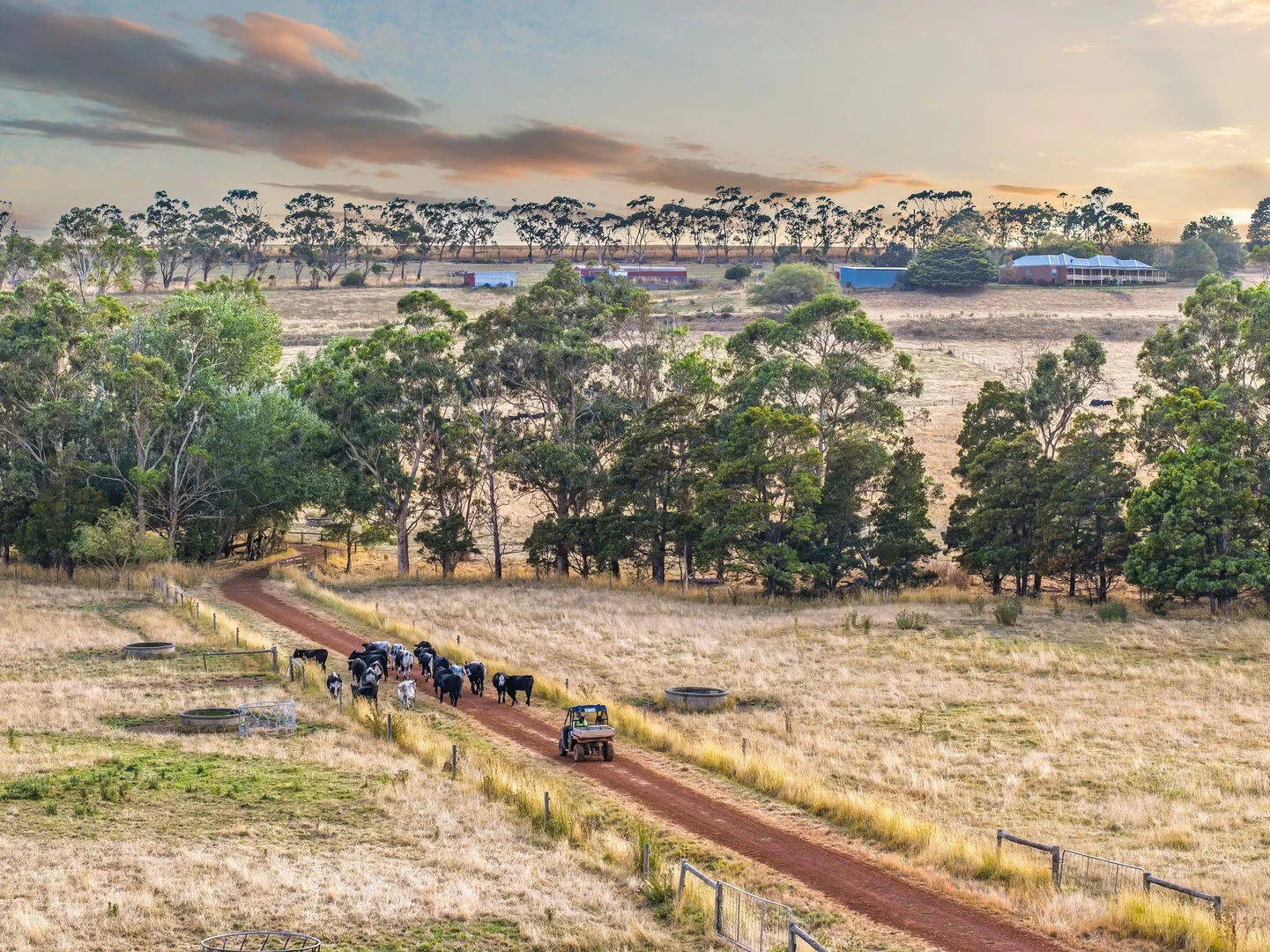 Additional image 26 of 100 Sunday Ridge Road, Simpson VIC 3266