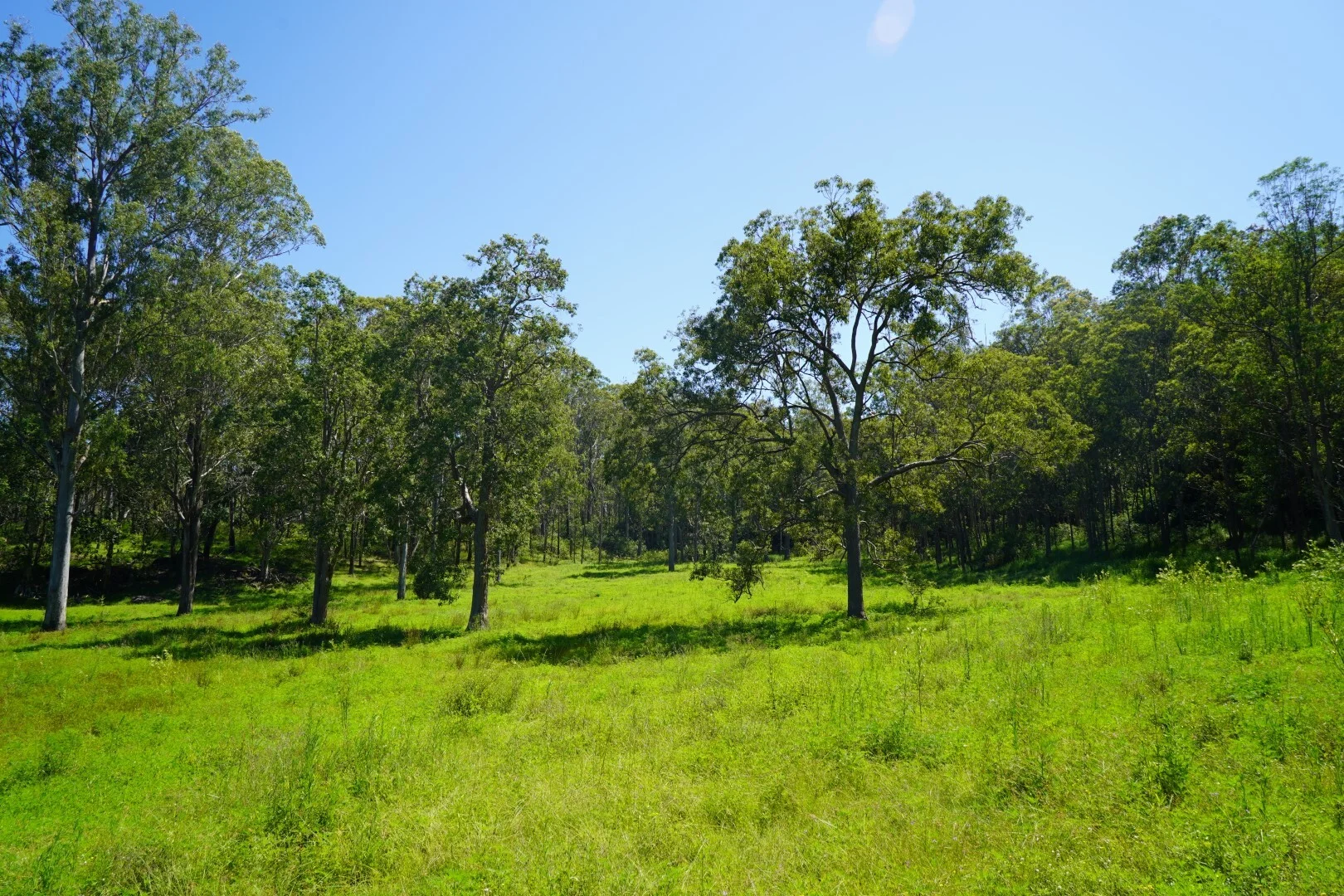 Additional image 4 of 113 Bruxner Highway, Casino NSW 2470
