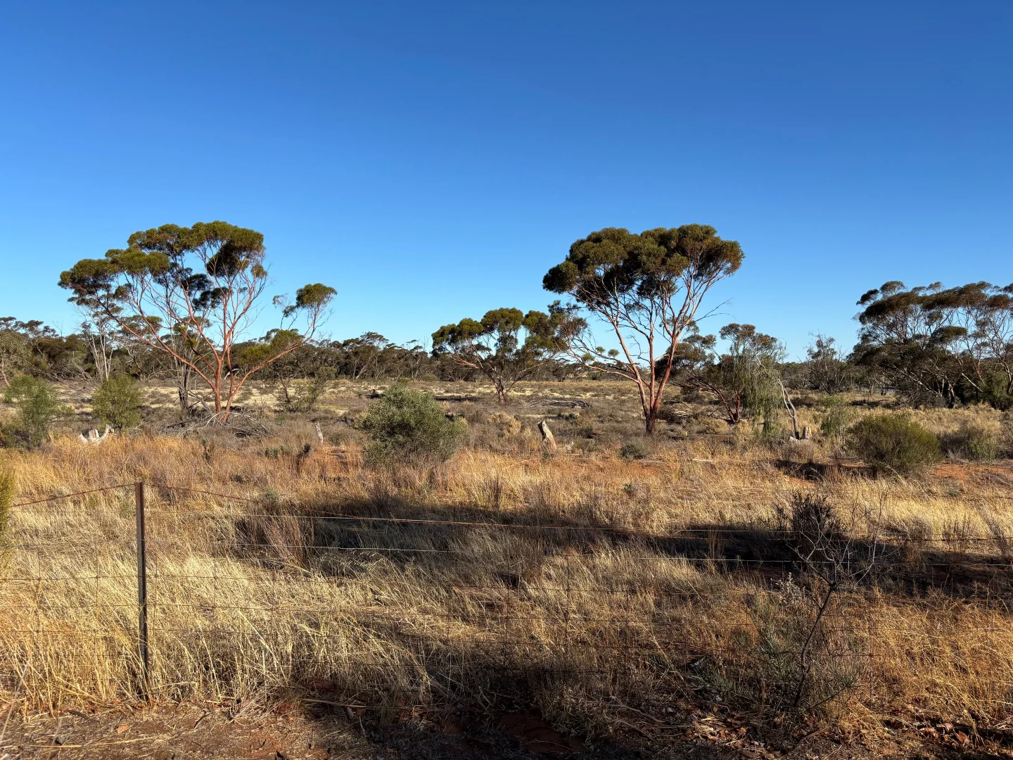 Additional image 9 of 5825 Robinvale-Sea Lake Road, Manangatang VIC 3546